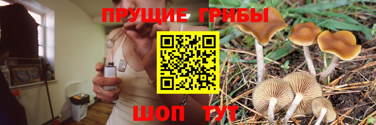 Семёнов  Галлюциногенные грибы мухоморы  Вход с VPN 